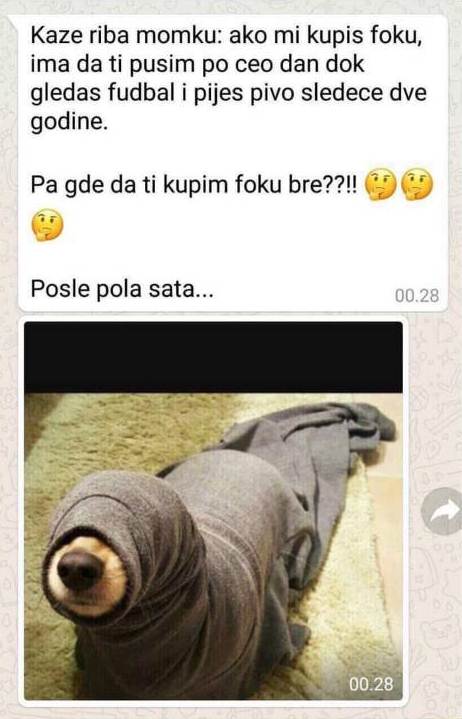 Slika
