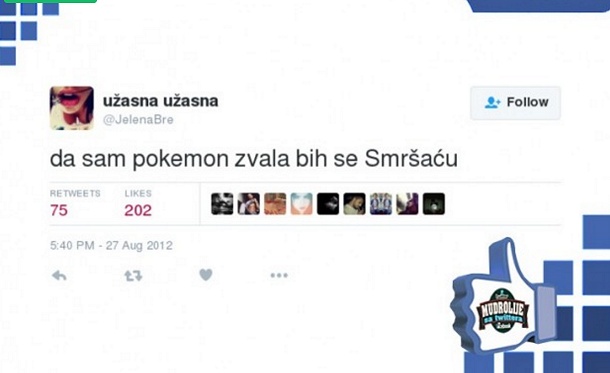 Slika