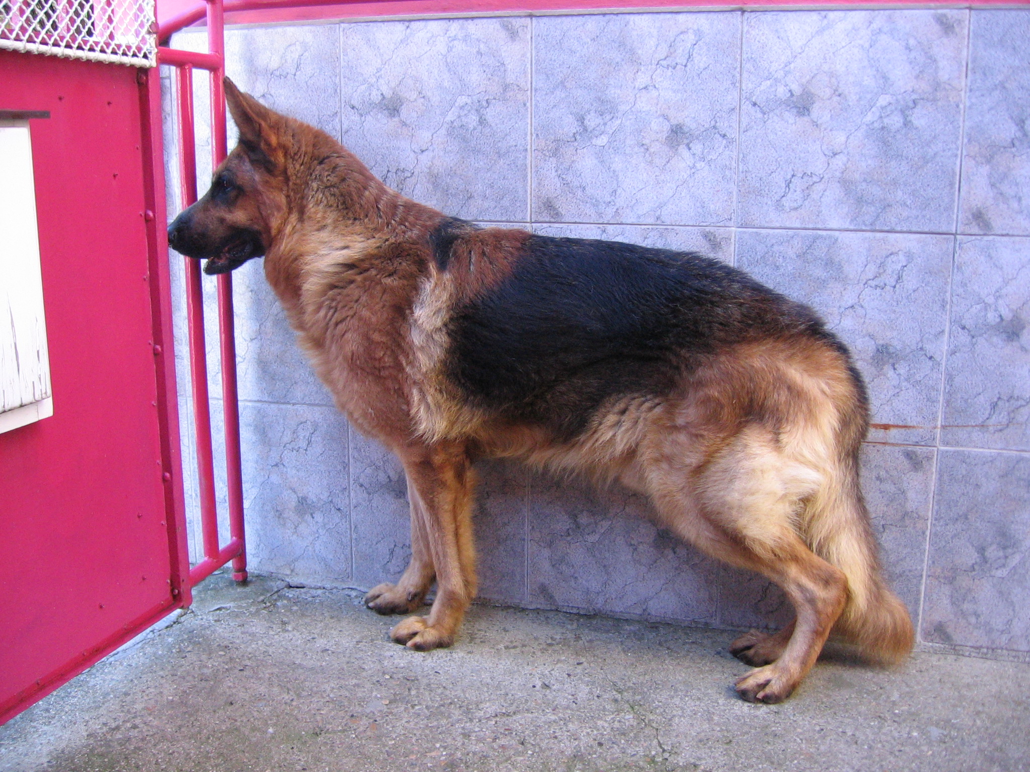 Slika