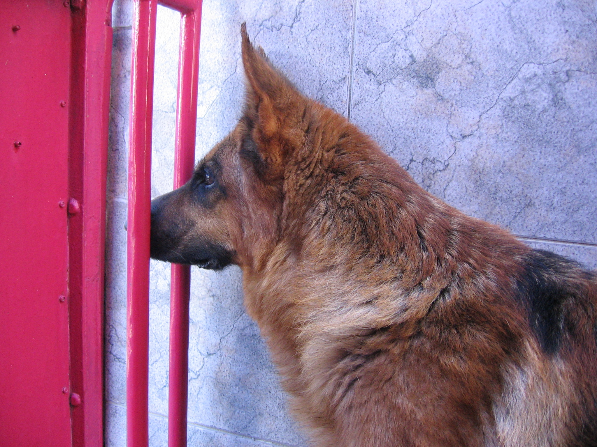 Slika